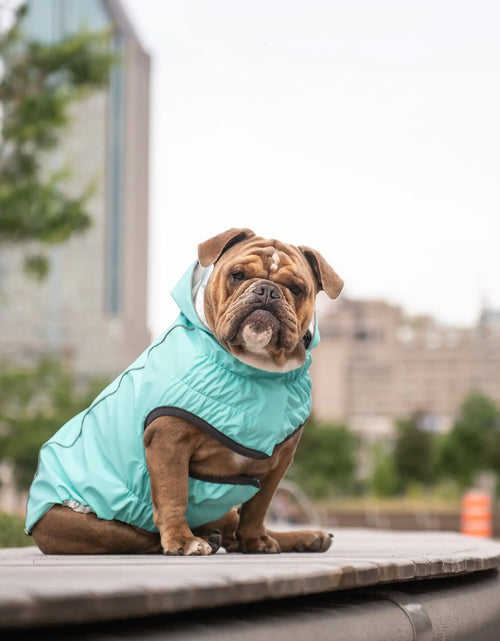 Load image into Gallery viewer, Reversible Raincoat - Neon Aqua with Iridescent
