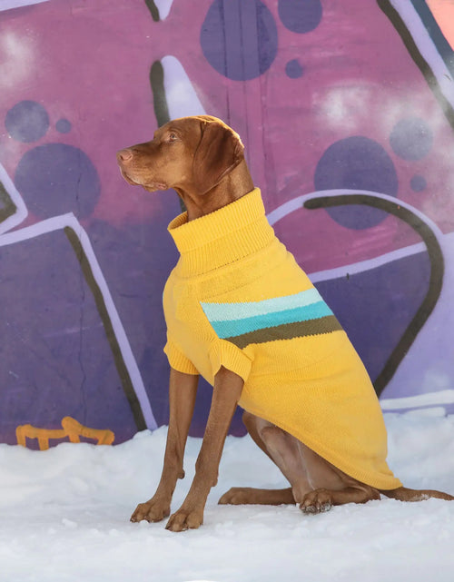 Load image into Gallery viewer, Alpine Sweater - Yellow

