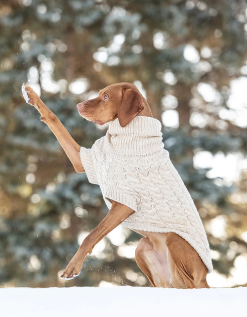Load image into Gallery viewer, Chalet Dog Sweater
