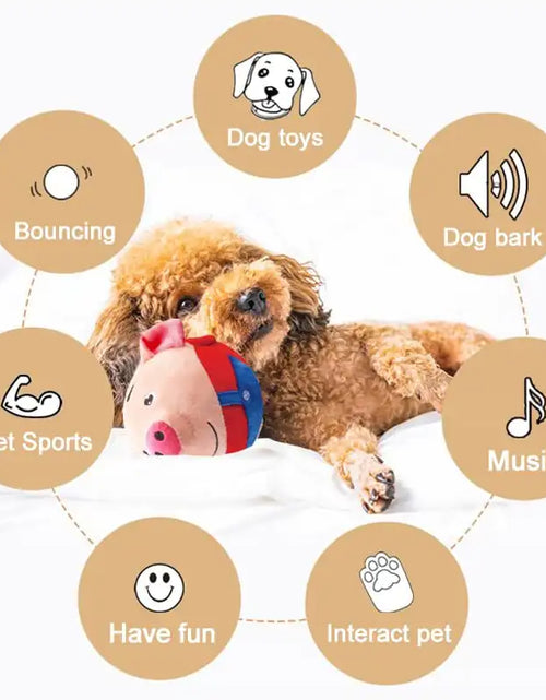 Load image into Gallery viewer, PetPalz: Interactive Talking Ball For Pets
