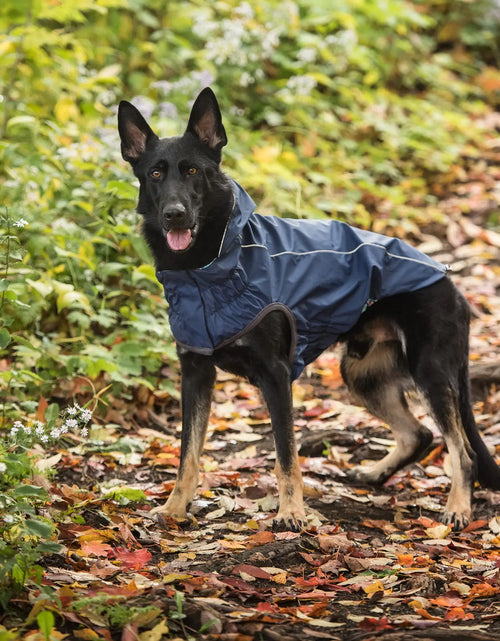 Load image into Gallery viewer, Reversible Elasto-Fit Raincoat - Navy
