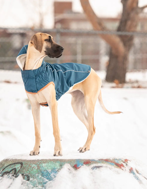 Load image into Gallery viewer, Insulated Raincoat - Dark Blue
