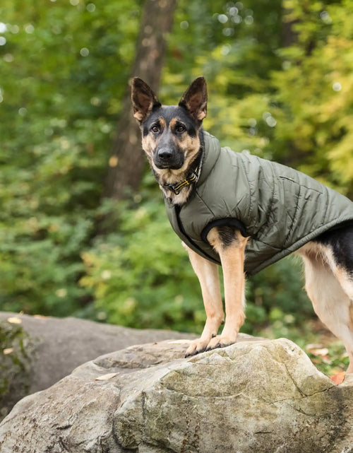 Load image into Gallery viewer, Dark Camo Army Dog Parka
