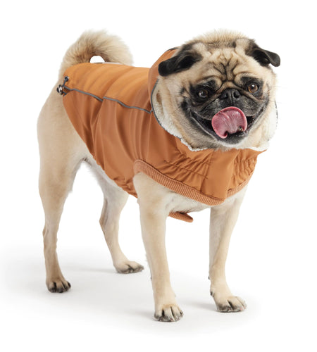 Insulated Raincoat - Hazel