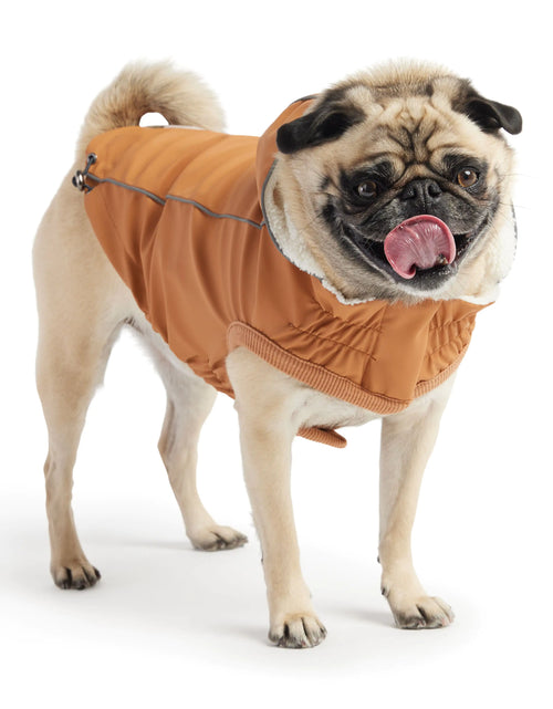 Load image into Gallery viewer, Insulated Raincoat - Hazel
