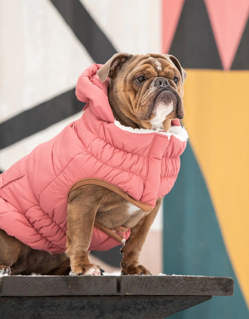 Load image into Gallery viewer, Super Puff Parka - Pink
