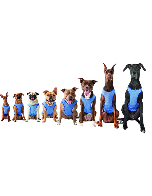 Load image into Gallery viewer, Elasto-Fit Ice Vest
