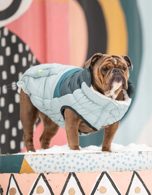 Load image into Gallery viewer, Retro Puffer - Light Blue
