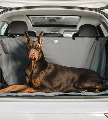 Pet Cargo Cover