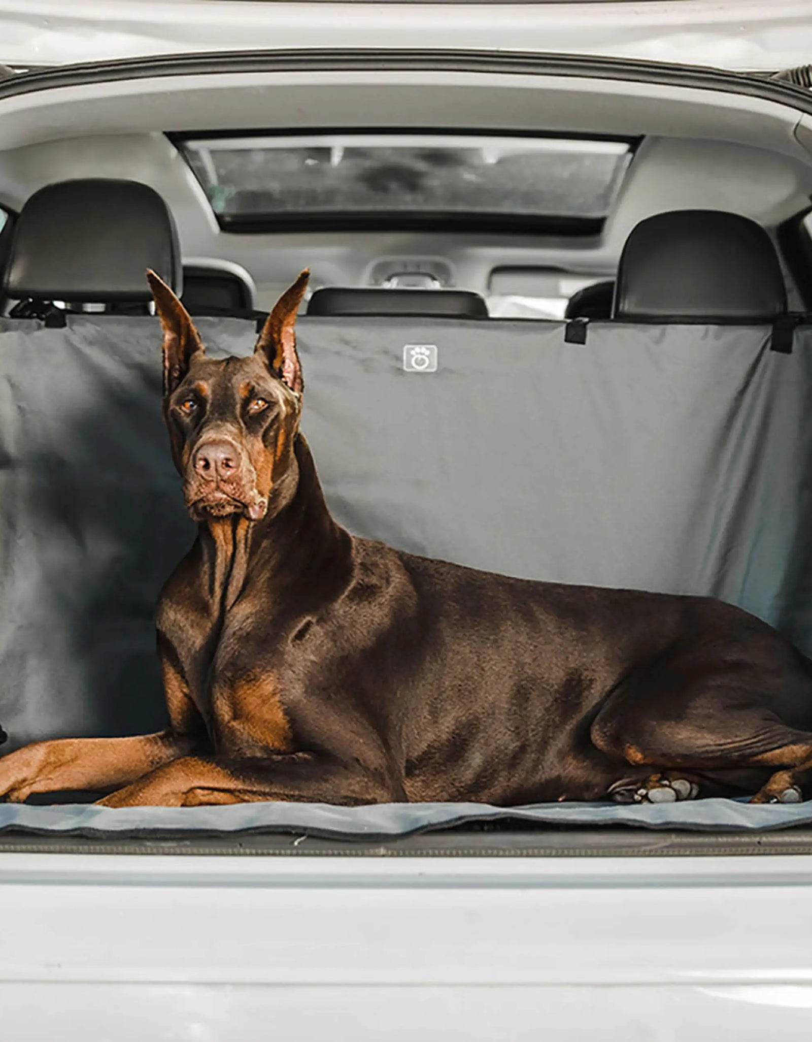 Pet Cargo Cover