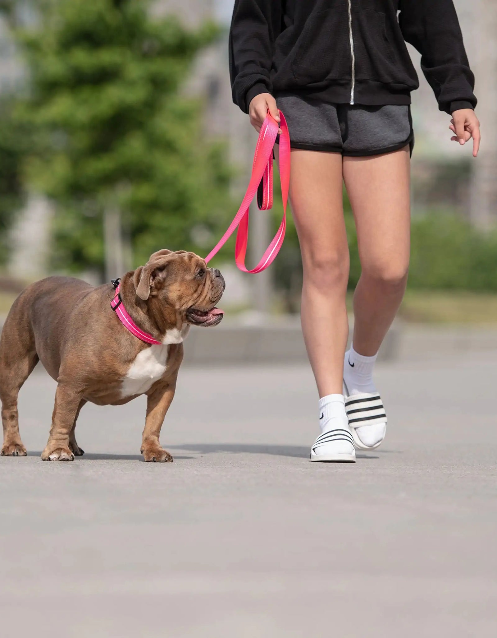 Reflective Leash - Neon Pink