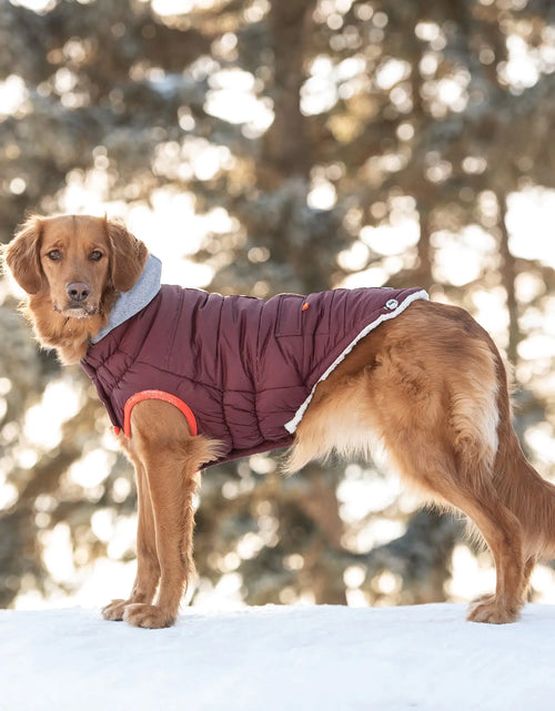 Load image into Gallery viewer, Winter Sailor Parka - Burgundy
