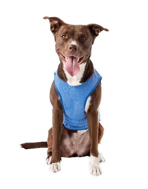 Load image into Gallery viewer, Elasto-Fit Ice Vest
