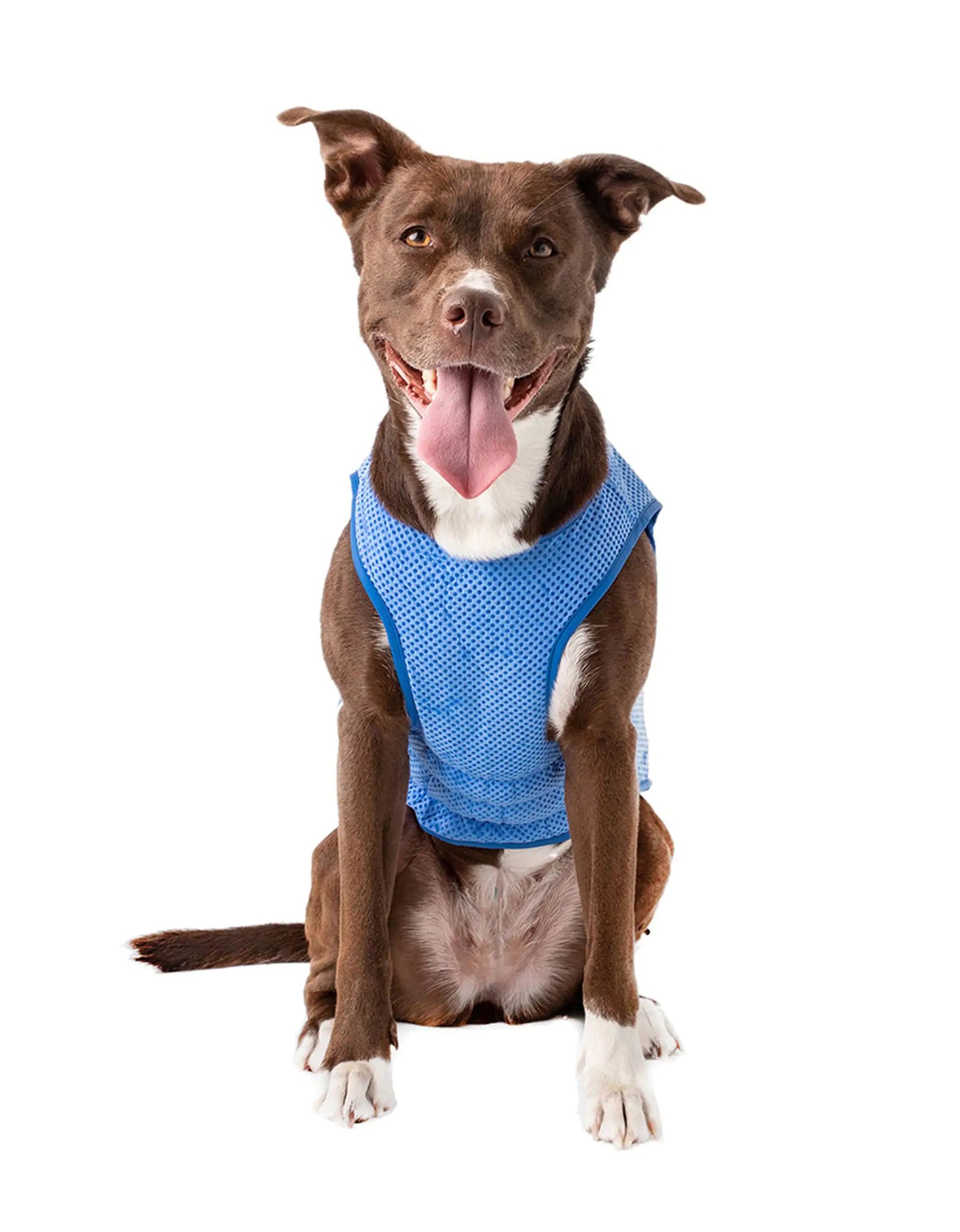 Elasto-Fit Ice Vest