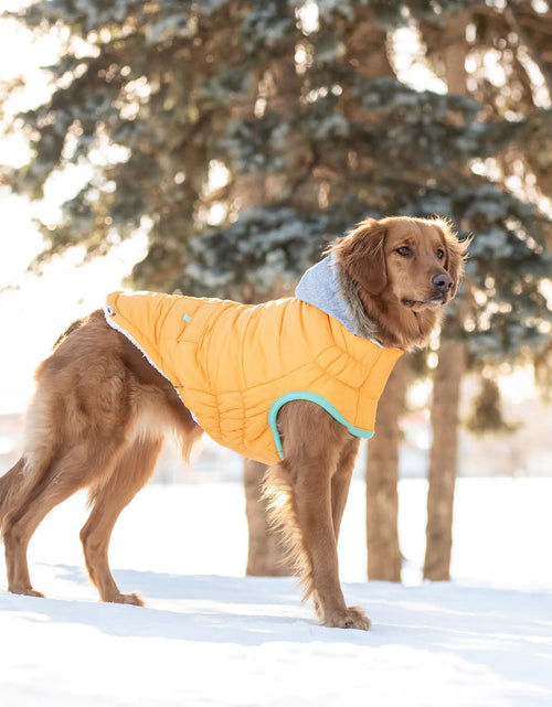 Load image into Gallery viewer, Winter Sailor Parka - Yellow
