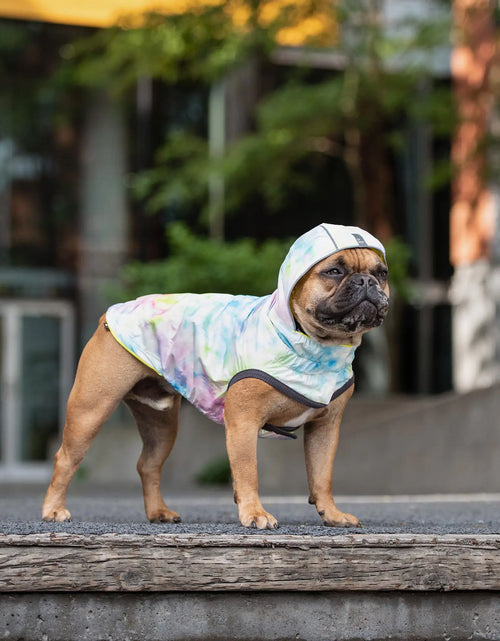 Load image into Gallery viewer, Reversible Raincoat - Neon Aqua with Iridescent

