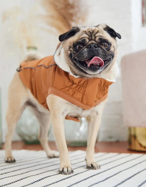Load image into Gallery viewer, Insulated Raincoat - Hazel
