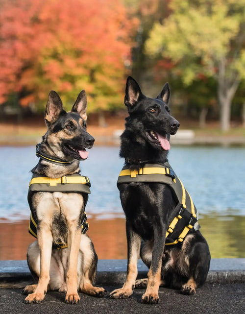 Load image into Gallery viewer, Army Dog Vest
