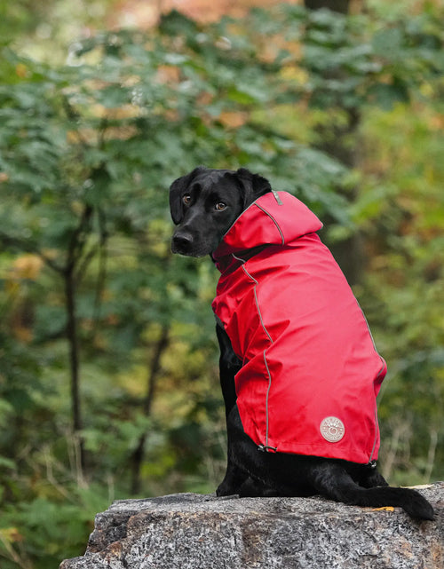 Load image into Gallery viewer, Reversible Elasto-Fit Raincoat - Red
