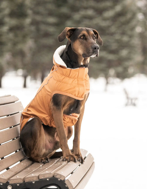 Load image into Gallery viewer, Insulated Raincoat - Hazel
