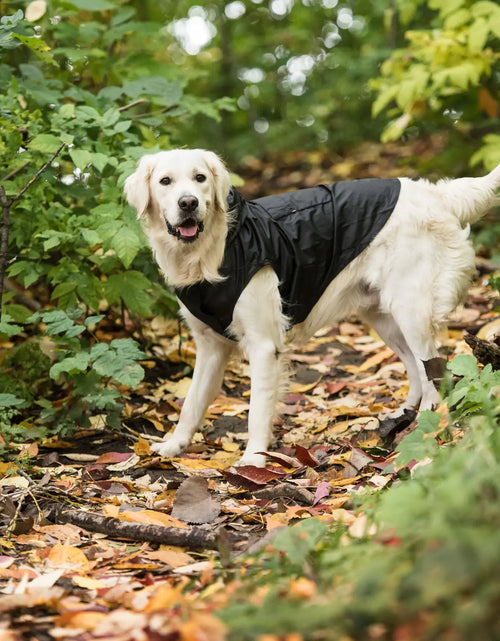 Load image into Gallery viewer, Black Packable Dog Raincoat
