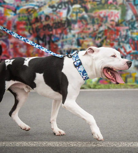 Printed Collar - Tie Dye