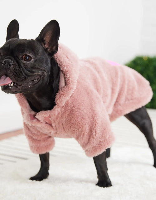 Load image into Gallery viewer, Cozy Hoodie - Pink
