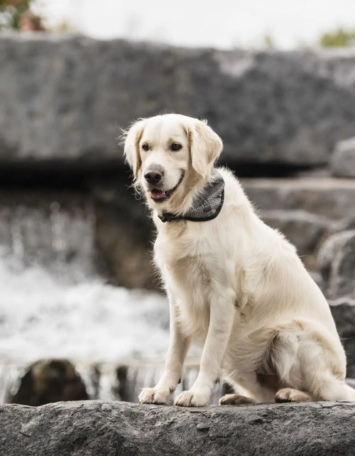 Load image into Gallery viewer, Army Dog Cooling Bandana
