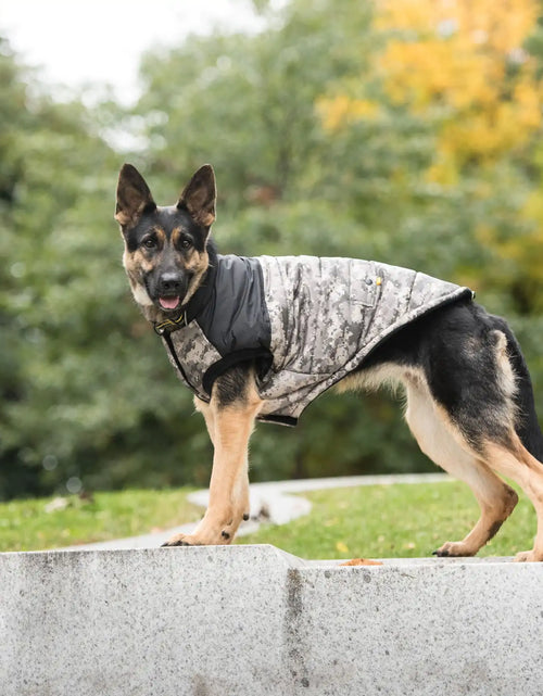 Load image into Gallery viewer, Army Dog Jacket - Camo
