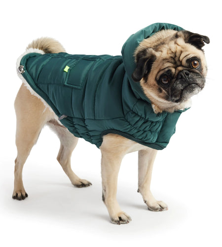 Super Puff Parka - Teal