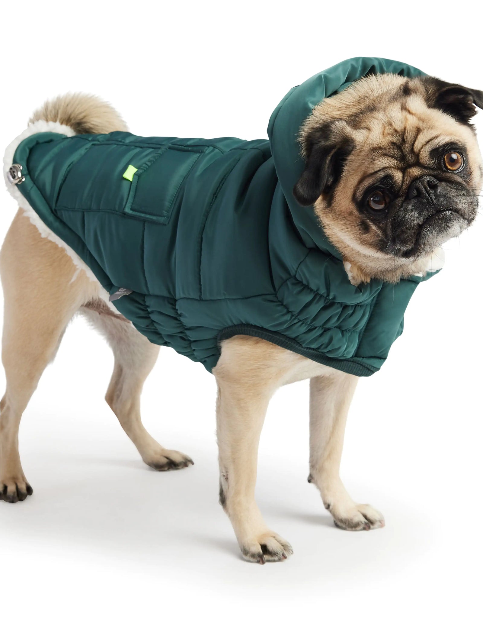 Super Puff Parka - Teal