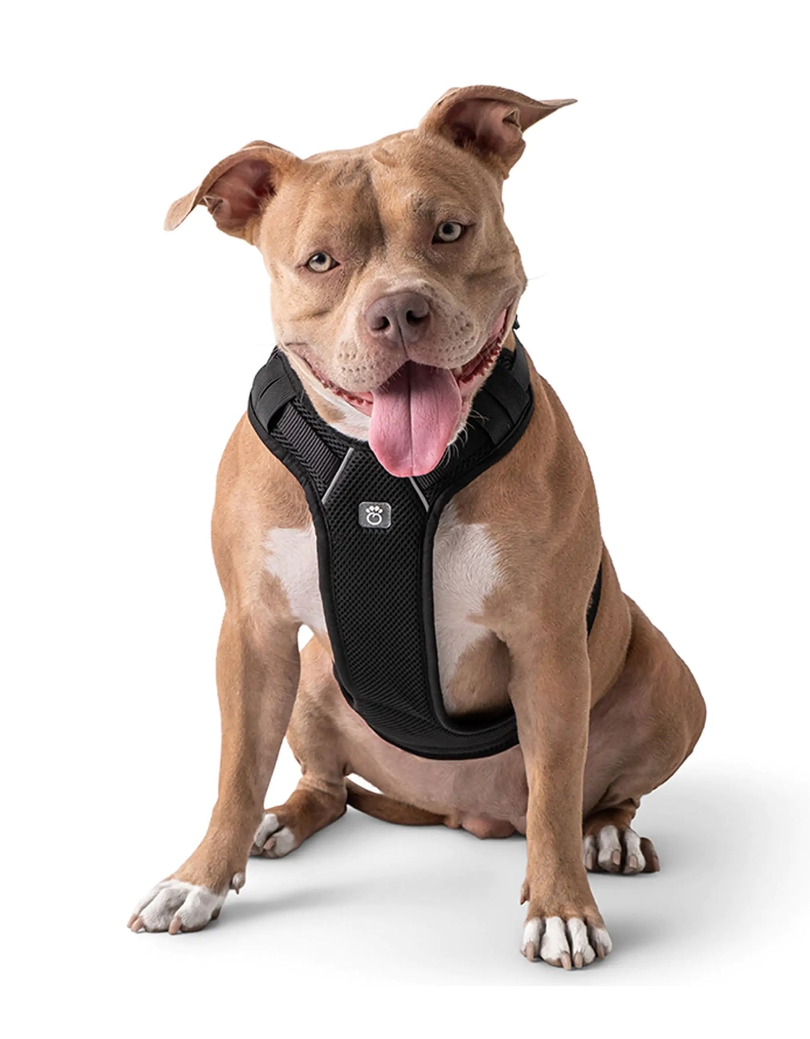 Travel Harness - Black