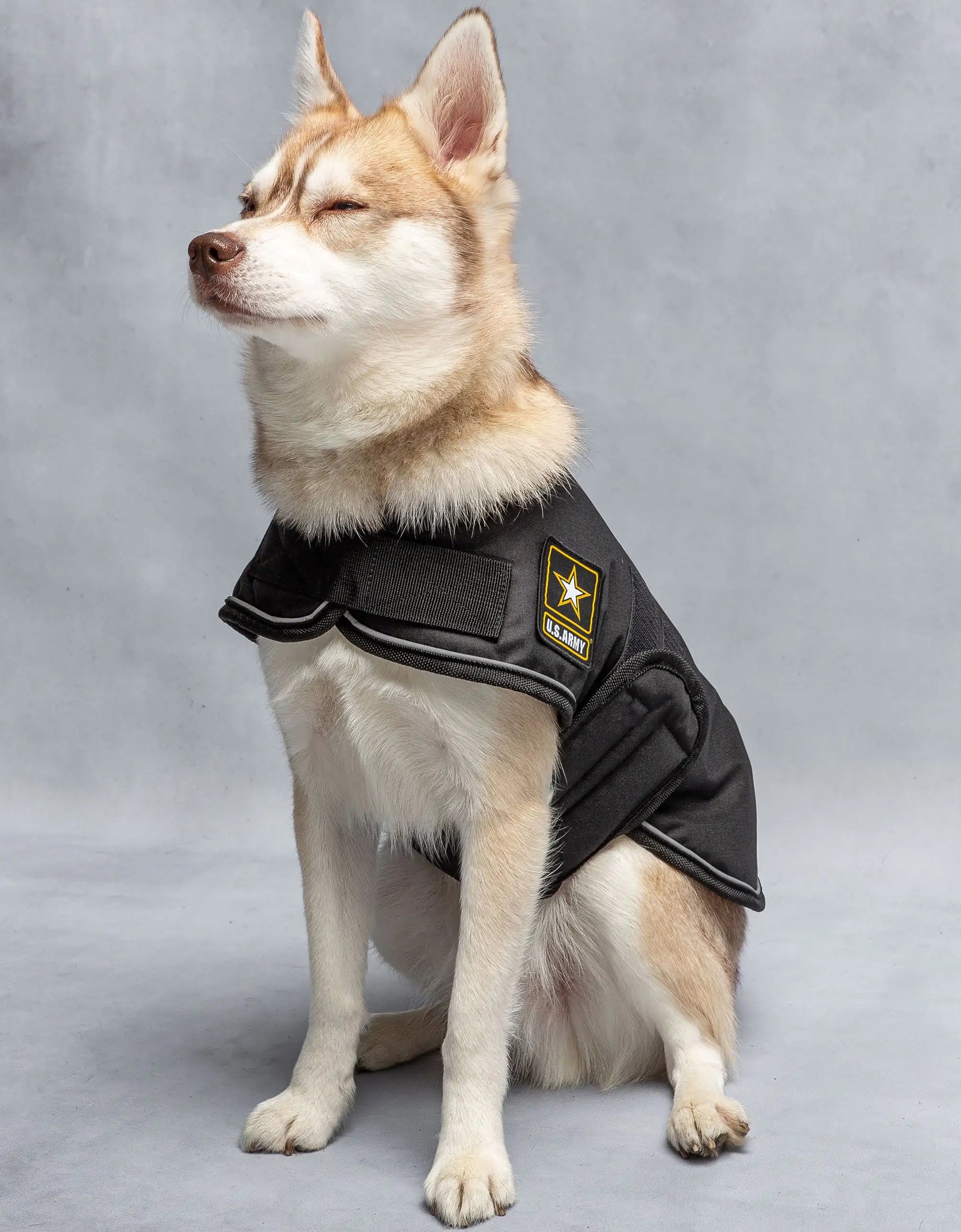 Army Dog Blanket Jacket