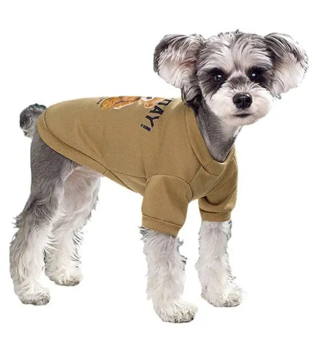 Bear Embrace Pullover