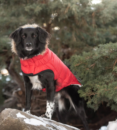 Elasto-Fit Urban Parka - Red