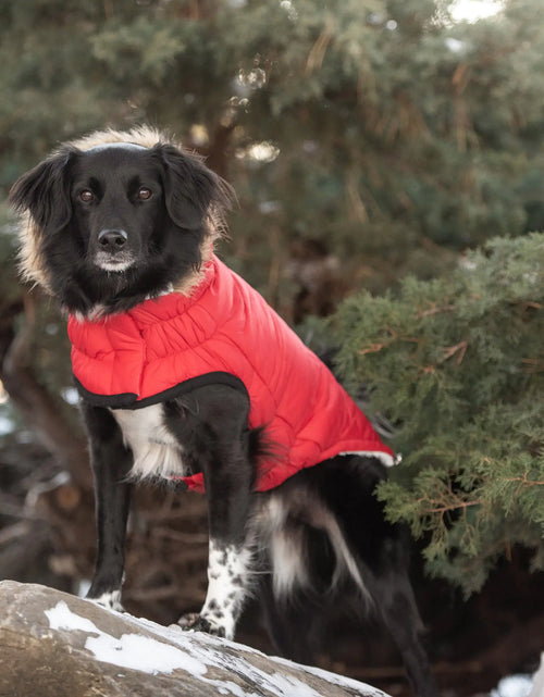 Load image into Gallery viewer, Elasto-Fit Urban Parka - Red

