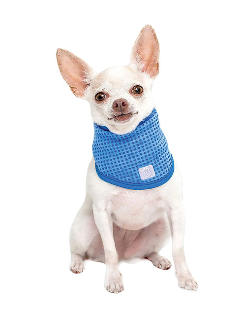 Load image into Gallery viewer, Dog Cooling Bandana
