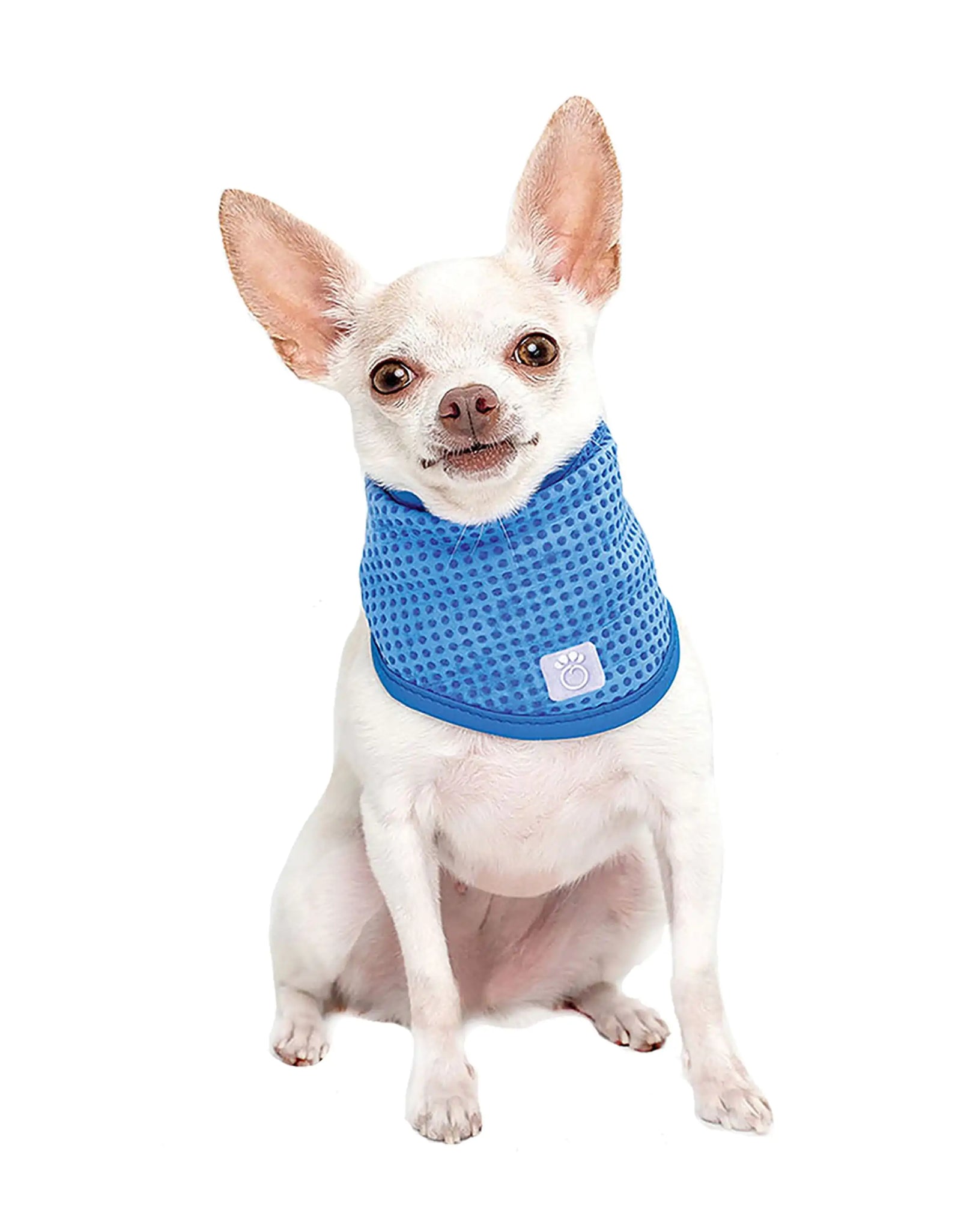 Dog Cooling Bandana
