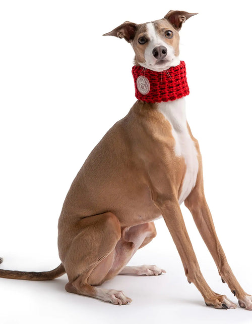 Load image into Gallery viewer, Chalet Tube Scarf - Red
