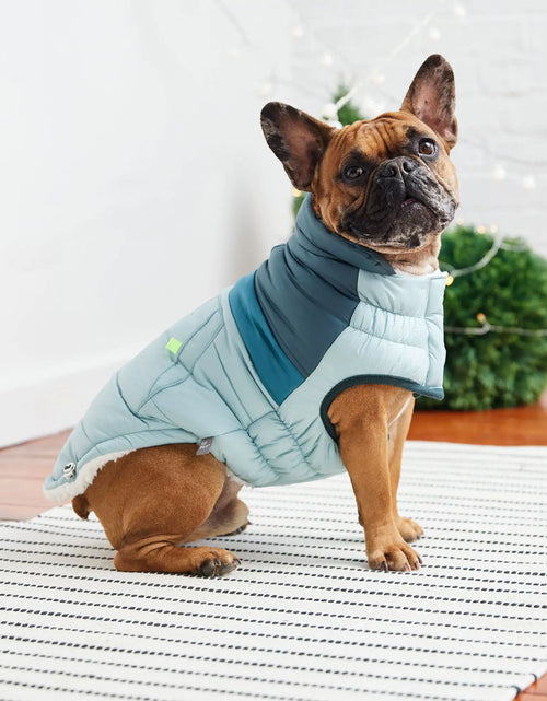 Load image into Gallery viewer, Retro Puffer - Light Blue
