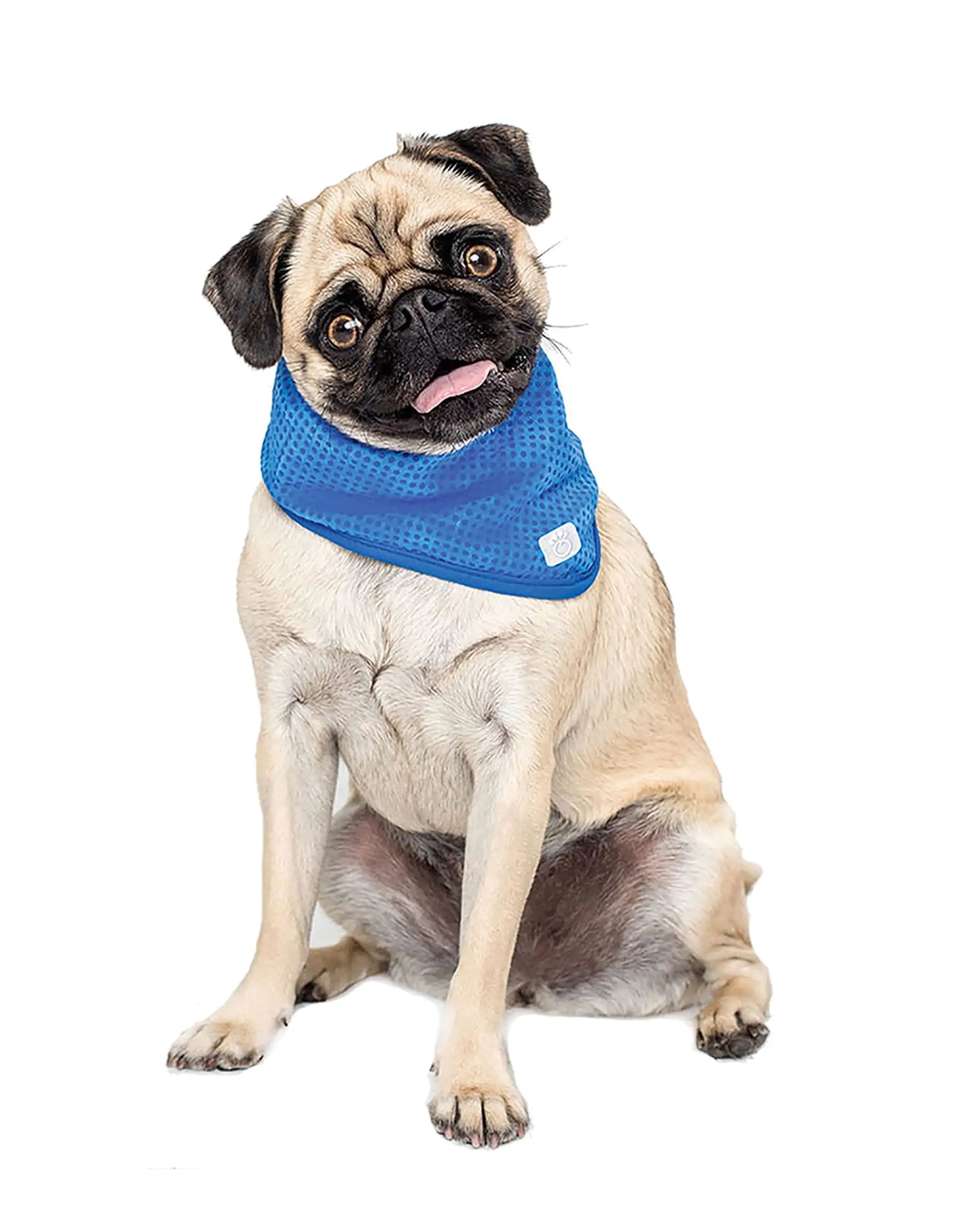 Dog Cooling Bandana
