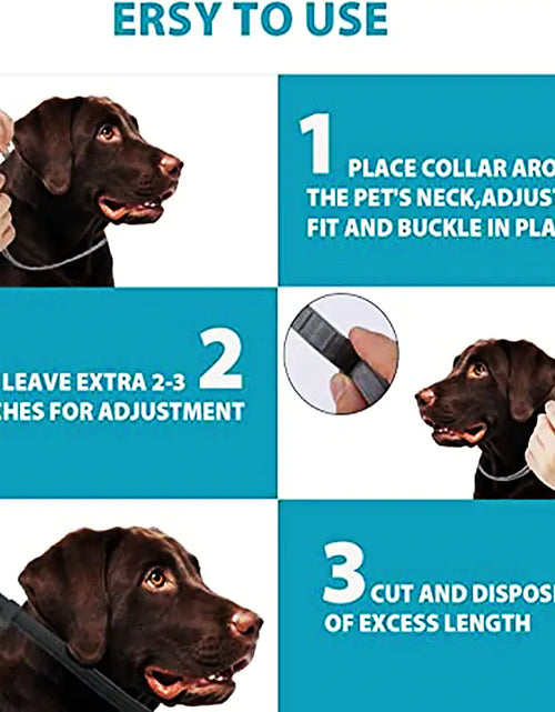 Load image into Gallery viewer, Anti-Flea Pet Necklace

