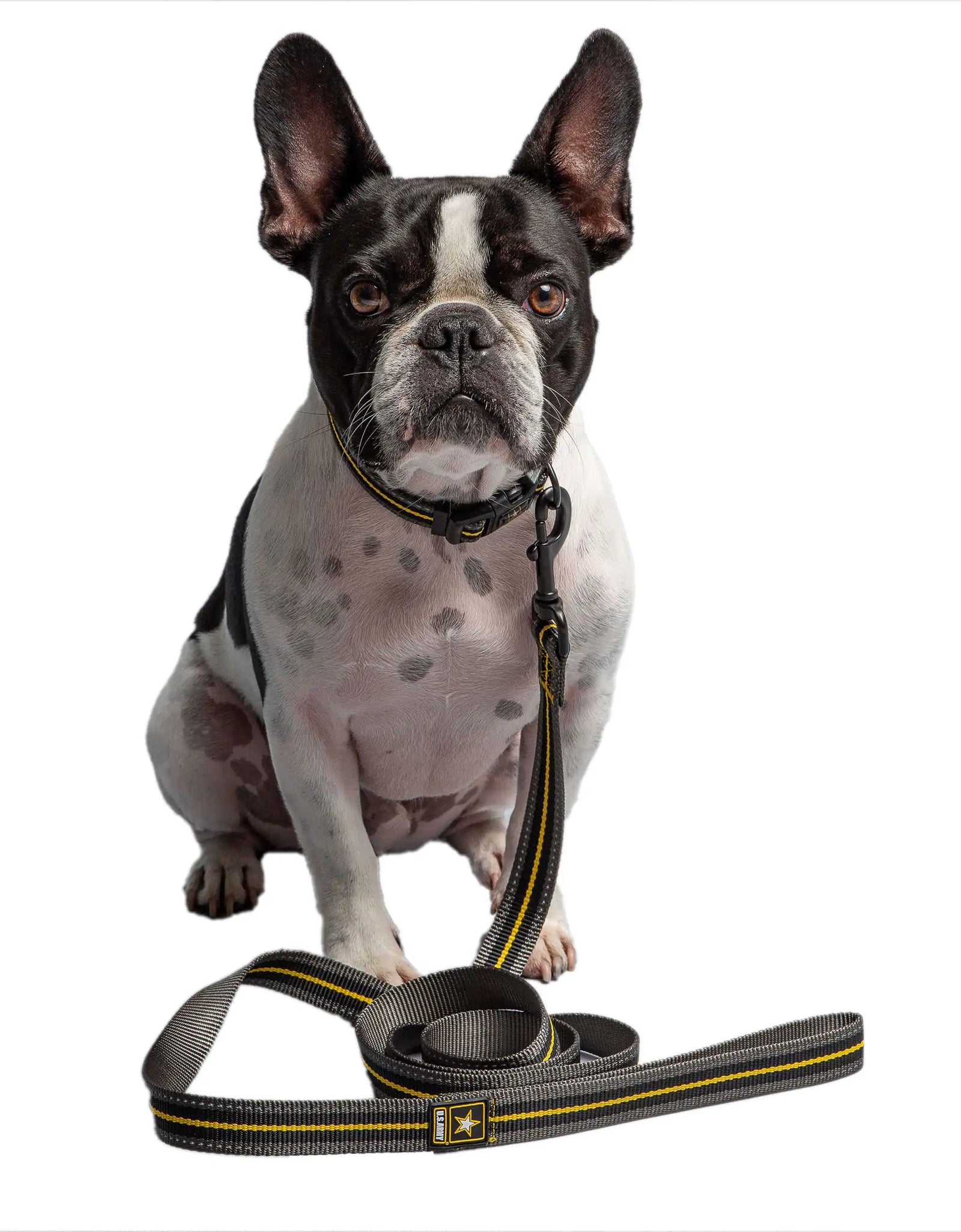 Dark Camo Dog Leash