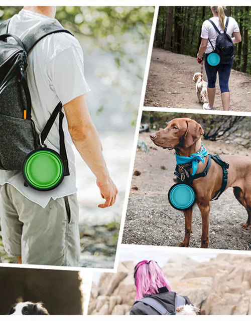Load image into Gallery viewer, Pet Bowl
