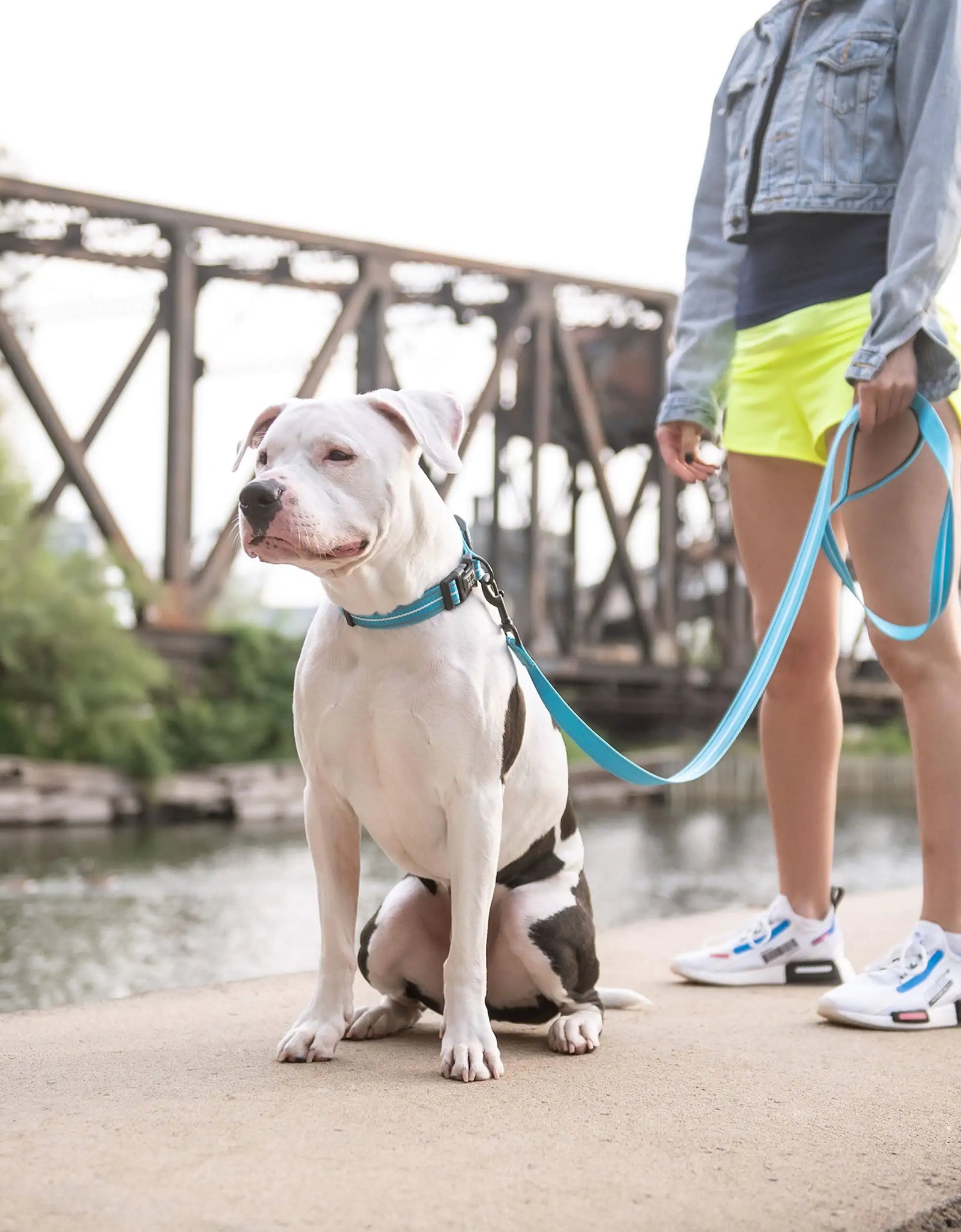 Reflective Leash - Neon Blue