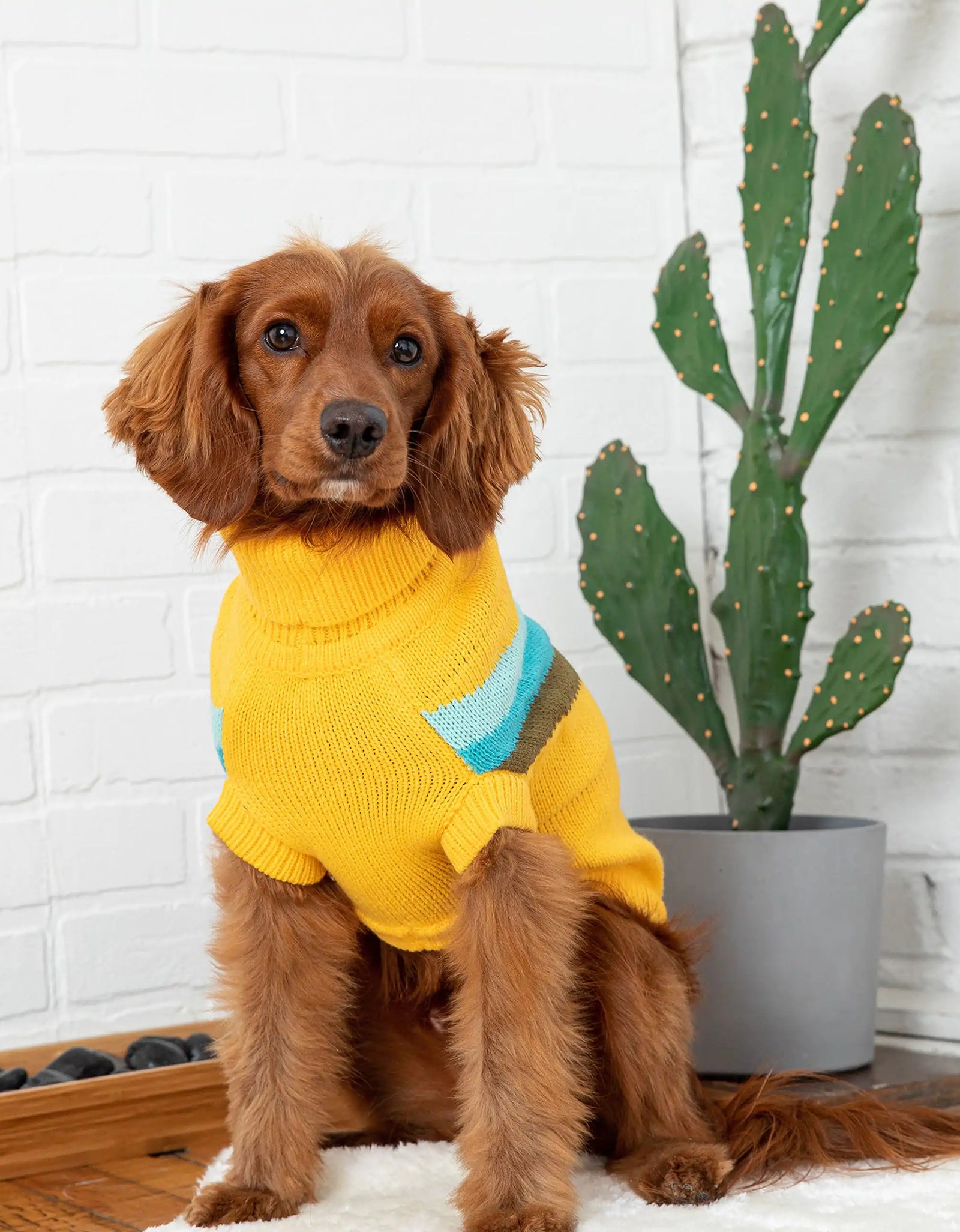 Alpine Sweater - Yellow