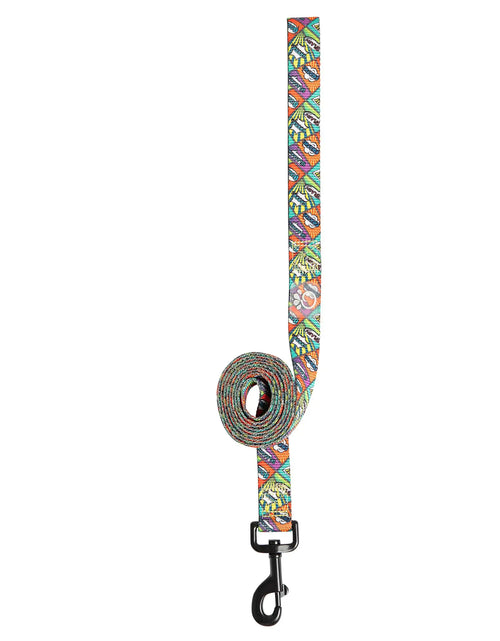 Load image into Gallery viewer, Printed Leash - Comic Book
