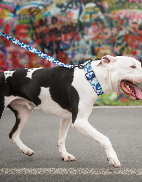 Load image into Gallery viewer, Printed Leash - Tie Dye

