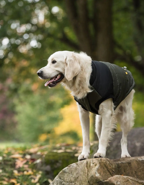 Load image into Gallery viewer, Dog  Army Jacket
