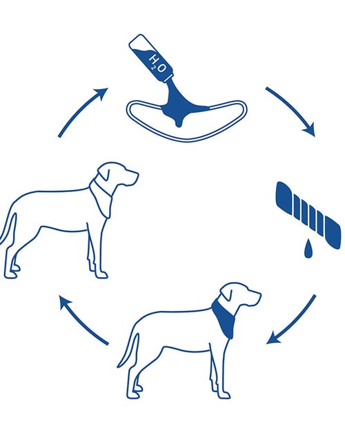 Load image into Gallery viewer, Dog Cooling Bandana
